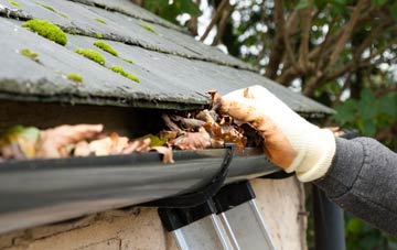 gutter cleaning North Carlton